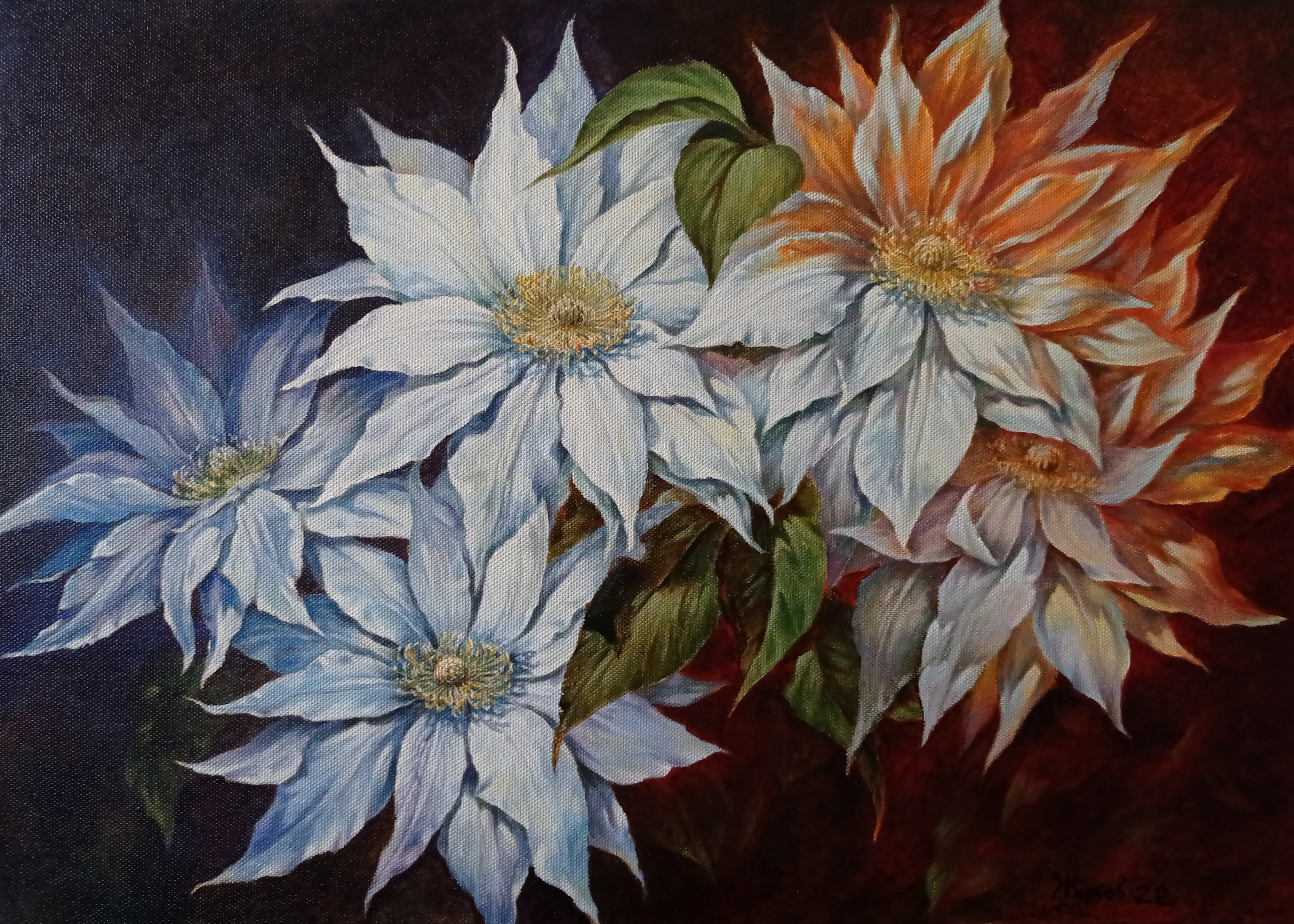 clematis, painting